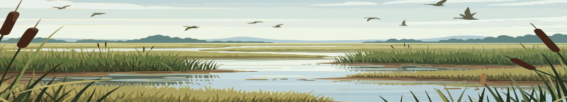 Marsh landscape artwork for Kiawah Eye and Retina