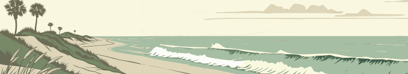 Beach and dune artwork for Obesity in Practice
