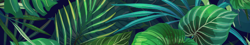 Tropical foliage artwork for Orthopedics Today Hawaii