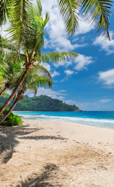 Tropical Beach